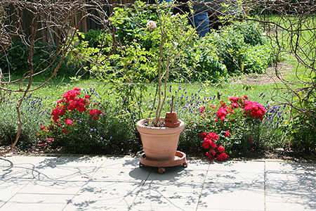 Permakulturgarten Billich