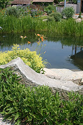 &uuml;permakulturgarten Billich
