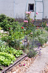&uuml;permakulturgarten Billich