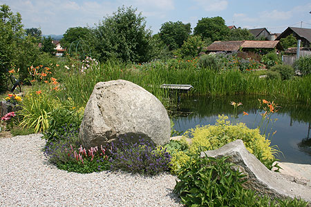 Permakulturgarten Billich